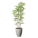 光触媒 人工観葉植物 造花 ナチュラルゴールデンリーフ1.8 (高さ180cm) (2642A820)