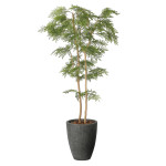 光触媒 人工観葉植物 造花 ナチュラルねむの木1.8 (高さ180cm) (2643A580)