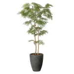 光触媒 人工観葉植物 造花 ナチュラルねむの木1.8 (高さ180cm) (2643A580)