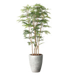 光触媒 人工観葉植物 造花 ナチュラルツートントネリコ1.8 (高さ180cm) (2644A850)