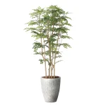 光触媒 人工観葉植物 造花 ナチュラルツートントネリコ1.8 (高さ180cm) (2644A850)