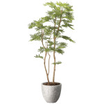 光触媒 人工観葉植物 造花 ナチュラルねむの木1.6 (高さ160cm) (2645A450)