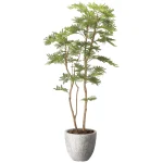 光触媒 人工観葉植物 造花 ナチュラルねむの木1.6 (高さ160cm) (2645A450)