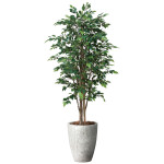 光触媒 人工観葉植物 造花 ナチュラルロイヤルベンジャミン1.8 (高さ180cm) (2647A800)