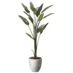 光触媒 人工観葉植物 造花 ナチュラルストレチア1.6 (高さ160cm) (2651A460)