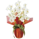 光触媒 人工観葉植物 造花 ミニ胡蝶蘭W (高さ43cm) (2674A38)