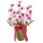 光触媒 人工観葉植物 造花 ミニ胡蝶蘭LAV (高さ43cm) (2675A38)