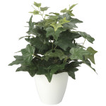 光触媒 人工観葉植物 造花 アイビ―M (高さ38cm) (2704A50)