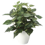光触媒 人工観葉植物 造花 ポトスM (高さ38cm) (2705A50)
