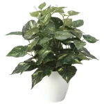 光触媒 人工観葉植物 造花 ポトスM (高さ38cm) (2705A50)