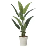 光触媒 人工観葉植物 造花 フレッシュストレチア 1.2 (高さ120cm) (2708A225)