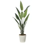 光触媒 人工観葉植物 造花 フレッシュストレチア 1.65 (高さ165cm) (2709A280)