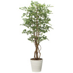 光触媒 人工観葉植物 造花 イチョウの木1.8 (高さ180cm) (2711A350)