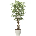 光触媒 人工観葉植物 造花 イチョウの木1.8 (高さ180cm) (2711A350)