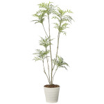 光触媒 人工観葉植物 造花 マホニア2.0(組立式) (高さ200cm) (2712A620)