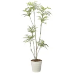 光触媒 人工観葉植物 造花 マホニア2.0(組立式) (高さ200cm) (2712A620)