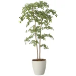 光触媒 人工観葉植物 造花 アーモンドツリー1.8 (高さ180cm) (2714A500)