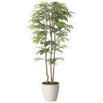 光触媒 人工観葉植物 造花 ツートントネリコ1.65 (高さ165cm) (2715A450)