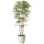 光触媒 人工観葉植物 造花 ツートントネリコ1.65 (高さ165cm) (2715A450)
