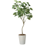 光触媒 人工観葉植物 造花 インテリアウンベラータ1.75 (高さ175cm) (2718A580)