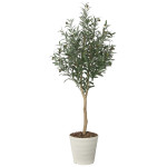 光触媒 人工観葉植物 造花 オリーブグレイス1.6 (高さ160cm) (2721A340)