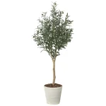 光触媒 人工観葉植物 造花 オリーブグレイス1.6 (高さ160cm) (2721A340)