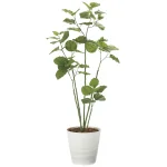 光触媒 人工観葉植物 造花 ブランチウンベラータ1.6 (高さ160cm) (2723A400)
