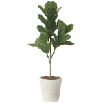 光触媒 人工観葉植物 造花 カシワバゴム90(ポリ製) (高さ90cm) (2724A100)
