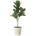 光触媒 人工観葉植物 造花 カシワバゴム90(ポリ製) (高さ90cm) (2724A100)