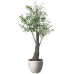 光触媒 人工観葉植物 造花 ナチュラルオリーブ1.7 (高さ170cm) (2731A800)