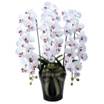 光触媒 人工観葉植物 造花 ロイヤル胡蝶蘭 (高さ76cm)