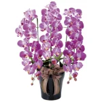 光触媒 人工観葉植物 造花 ロイヤル胡蝶蘭 (高さ76cm)