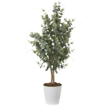 光触媒 人工観葉植物 造花 ユーカリ1.25 (高さ125cm) (370P220)