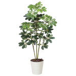 光触媒 人工観葉植物 造花 カポック斑入り1.2 (高さ120cm) (371K165)