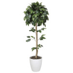 光触媒 人工観葉植物 造花 ベンジャミントピアリー 1.5 (高さ150cm) (373B240)