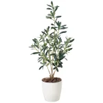 光触媒 人工観葉植物 造花 オリーブ (高さ73cm) (379P75)