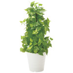 光触媒 人工観葉植物 造花 ポールライムポトス (高さ82cm) (381B120)