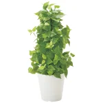 光触媒 人工観葉植物 造花 ポールライムポトス (高さ82cm) (381B120)