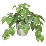 光触媒 人工観葉植物 造花 フレッシュポトスM (高さ36cm) (384K55)
