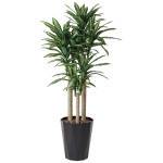 光触媒 人工観葉植物 造花 幸福の木 1.8 (高さ180cm) (401R550)