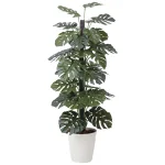 光触媒 人工観葉植物 造花 モンステラ  1.8 (高さ180cm) (403R480)