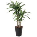 光触媒 人工観葉植物 造花 幸福の木1.1 (高さ110cm) (406R240)