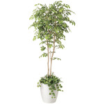 光触媒 人工観葉植物 造花 マウンテンアッシュ1.8植栽付 (高さ180cm) (408R650)