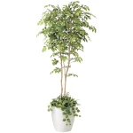 光触媒 人工観葉植物 造花 マウンテンアッシュ1.8植栽付 (高さ180cm) (408R650)
