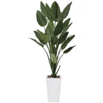 光触媒 人工観葉植物 造花 ストレチアW1.6 (高さ160cm) (409R630)