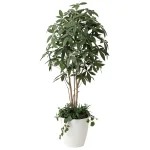 光触媒 人工観葉植物 造花 パキラ1.8 植栽付 (高さ180cm) (412P515)