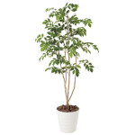 光触媒 人工観葉植物 造花 マウンテンアッシュ1.3 (高さ130cm) (424R230)