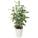 光触媒 人工観葉植物 造花 ディフェンバキア1.1 (高さ110cm) (426A175)