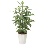 光触媒 人工観葉植物 造花 ディフェンバキア1.1 (高さ110cm) (426A175)