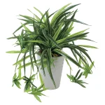 光触媒 人工観葉植物 造花 ドラセナ